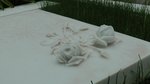 20120510-catholic_cemetery_06-27
