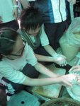 20090424-taio_03-01