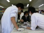 20061205-f3dissection-04