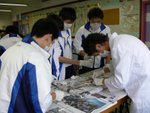 20061205-f3dissection-10