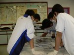 20061205-f3dissection-11