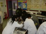 20061205-f3dissection-13