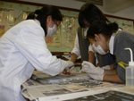 20061205-f3dissection-14