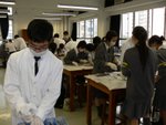 20061205-f3dissection-15