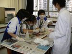 20061205-f3dissection-26
