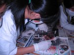 20061206-yu234dissection-05