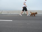 IMG_2732