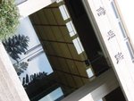 20101113-cuhktrees_03-023