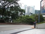 20101113-cuhktrees_05-37