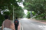 20101113-cuhktrees_05-38