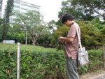 20101113-cuhktrees_05-39