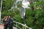 20101113-cuhktrees_05-45