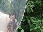 20101113-cuhktrees_05-48