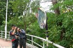 20101113-cuhktrees_05-49