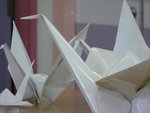 20110323-cranes-01