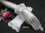 G0101W