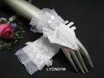 LYCN01W