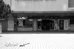 IMG_8147