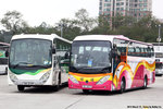 td2577_br3068
