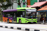 sg3118m