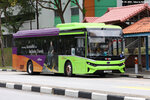 sg3118m_116_hougangave9