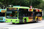 sg1014s_386
