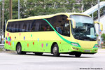 dz6626