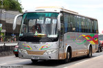 hingyip6