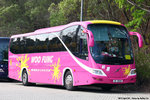 jz2129_tsingma