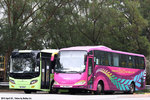 nl7822_3_sm5263