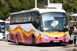 wd8599
