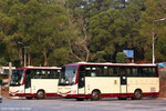 chinakongs