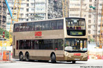 lb8103_268x_plaingold
