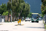 tx1716_h_rr8
