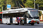 d1-e243