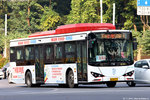 d2-h024