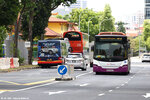 sbs8085d_154_h