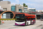 sbs8155k_ns_08042024