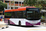 sbs8266z_29_os