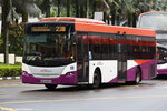 sbs8282b_238