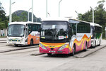 md991_ngong_ping