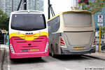 vs6365_tp6077_rear