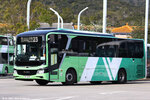 zv2396_23_ngongping