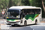 zy8951_1a_ns