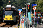 lrt1081