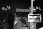 IMG_3493