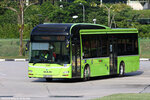 smb1429b