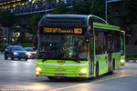 smb3109l