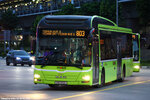 smb3109l_803