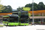 smb245x_sg5928d_cck